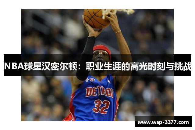 NBA球星汉密尔顿：职业生涯的高光时刻与挑战