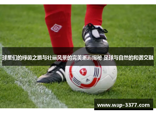 球星们的绿茵之旅与壮丽风景的完美邂逅揭秘 足球与自然的和谐交融